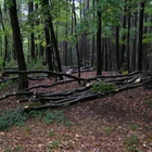 20112308130827-511.jpg